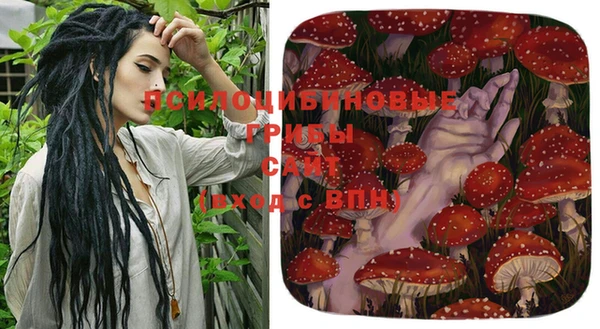 соль ск Абаза