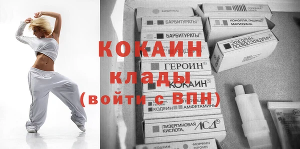 соль ск Абаза