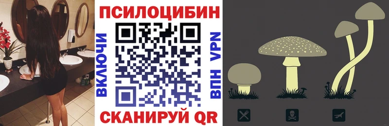 Псилоцибиновые грибы GOLDEN TEACHER  Полтавская 